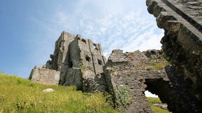 Corfe-Castle_1314_Details-2