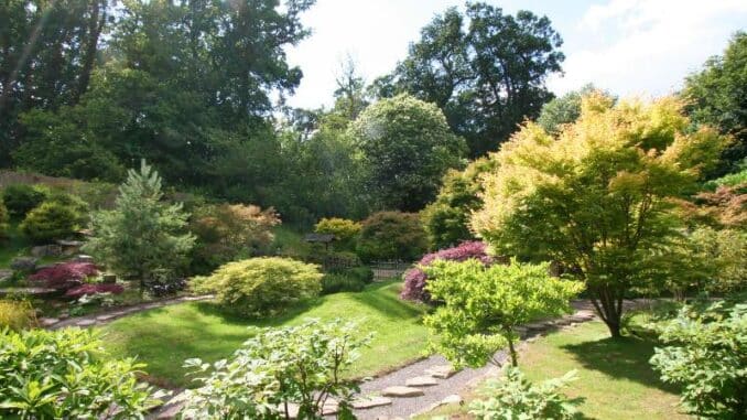Kingston Lacy - Japanischer Garten © burgen.de