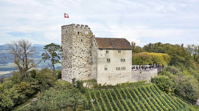 Schloss-Habsburg_mit-Weinberg_DSC0026