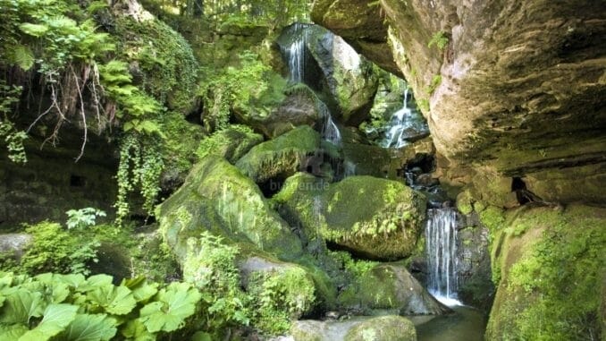 Lichtenhainer Wasserfall im Kirnitzschtal in der Sächsischen Schweiz © Tourismus Marketing Gesellschaft Sachsen